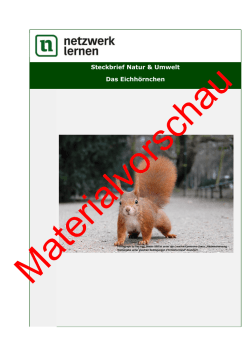 Steckbrief Natur & Umwelt Das Eichh&ouml;rnchen - Matobe