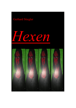 Gerhard Stiegler: Hexen