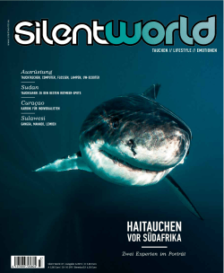 Bericht Tauchzeitschrift Silent World