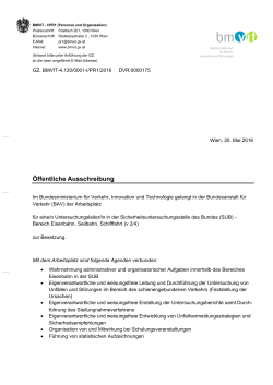 Ausschreibung Untersuchungsleiter (v 2/4) (pdf 362 KB)