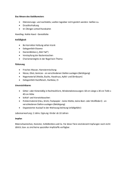 Hamster - Kleintierpraxis Paderborn