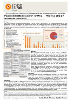 Referat im PDF