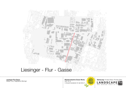 Liesinger - Flur - Gasse