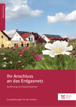 Ihr Anschluss an das Erdgasnetz