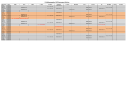 Platzbelegungsplan SV Bliesmengen