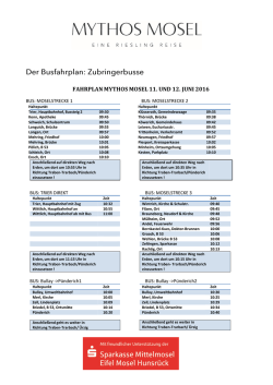 Die Zubringerbusse
