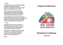 Programm Festkommers Pfingstkirmes in Molsberg