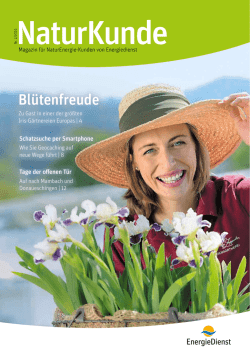 PDF downloaden - Energiedienst