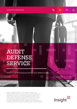 audit defense service