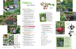 im Juni - Mein sch&ouml;ner Garten
