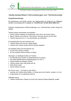 H&auml;ufig beobachtbare Fehlvorstellungen zum