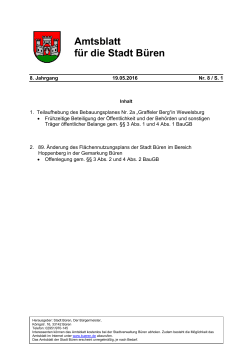 Amtsblatt Nr. 08/2016 vom 19.05.2016