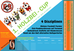 Anmeldung Holzbei-Cup