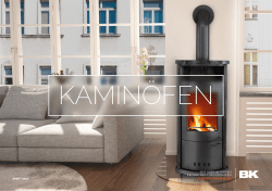 SEIT ÜBER 30 JAHREN IHR PARTNER FÜR KAMINÖFEN WWW