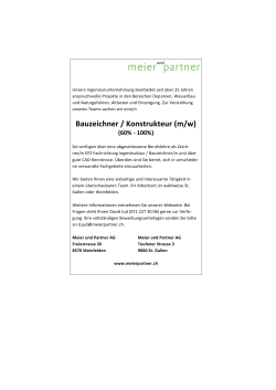 Stelleninserat als PDF - Meier und Partner AG