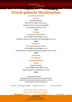 Wochenplan Sturm_KW 21_2016