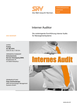 Interner Auditor