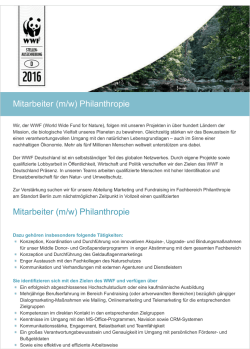 Dieses Stellenangebot als PDF speichern