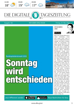 PDF zum