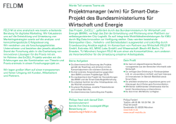 Projektmanager SmartDataProjekt