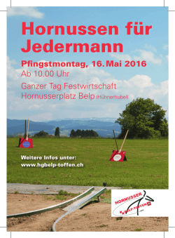 Hornussen f&uuml;r Jedermann - HG Belp