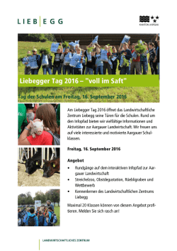 Flyer Tag der Schulen