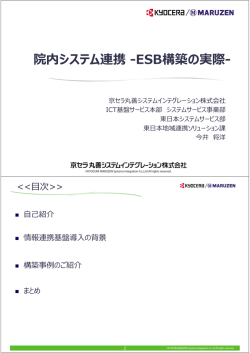 講演資料（2MB - InterSystems