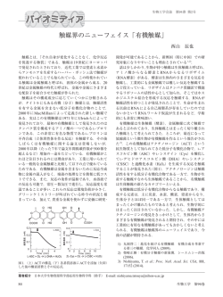触媒界のニューフェイス「有機触媒」