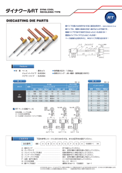 ダイナクールRS