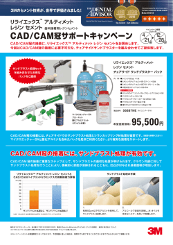 リライエックス アルティメット レジン セメント CAD/CAM冠サポート