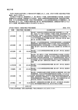補正予算の経緯