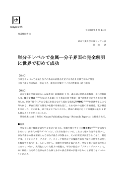 単分子レベルで金属―分子界面の完全解明 に世界で