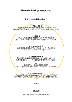 詳細情報を見る（PDF）