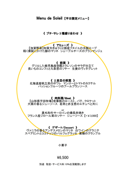 詳細情報を見る（PDF）