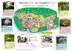 入園時にお渡ししている、マップ付きのおすすめ散策マップはコチラ