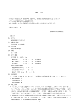 （電子入札、特別簡易型総合評価落札方式）に付