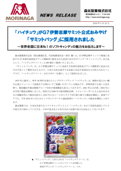 サミットバッグ