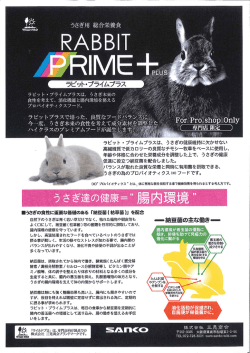 2016年7月1日株式会社三晃商会より専門店店頭販売専用ラビット