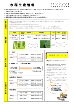 水 稲 生 産 情 報