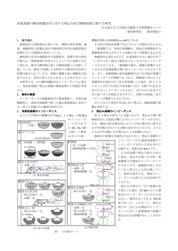 梗概を見る