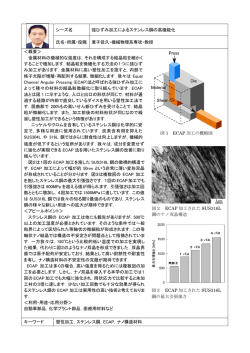強ひずみ加工によるステンレス鋼の高機能化