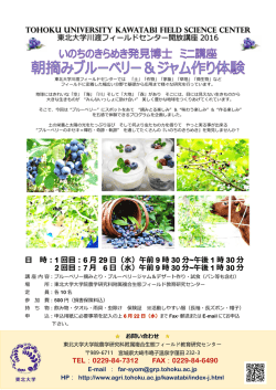 チラシ - Tohoku University