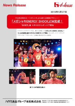 リリース全文PDFファイル（4ページ）