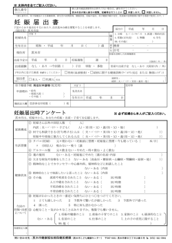 妊娠届出書（PDF：184.6KB）