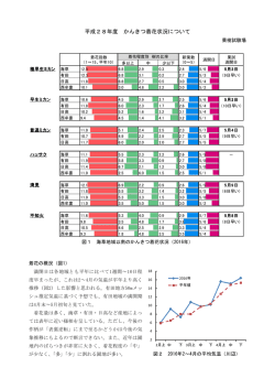 H28着花の状況と対策