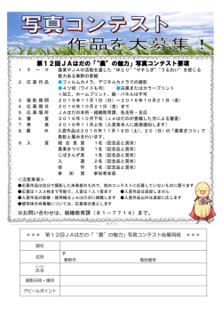 資料PDFファイル