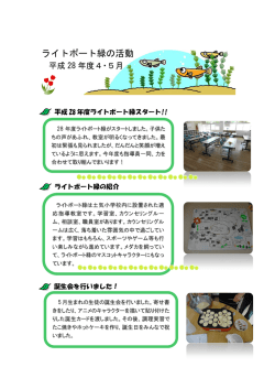 ライトポート緑の活動
