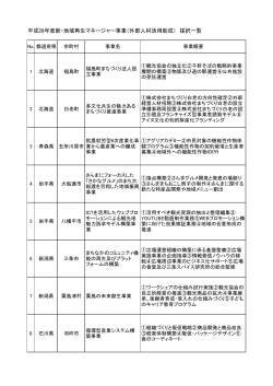 平成28年度新・地域再生マネージャー事業（外部