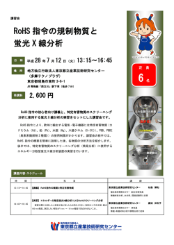 （内容・スケジュール等）（PDF：474KB）