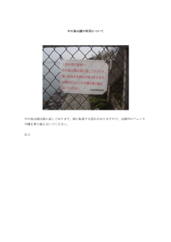 中の島公園の利用について 中の島公園は海に面しております。海に転落